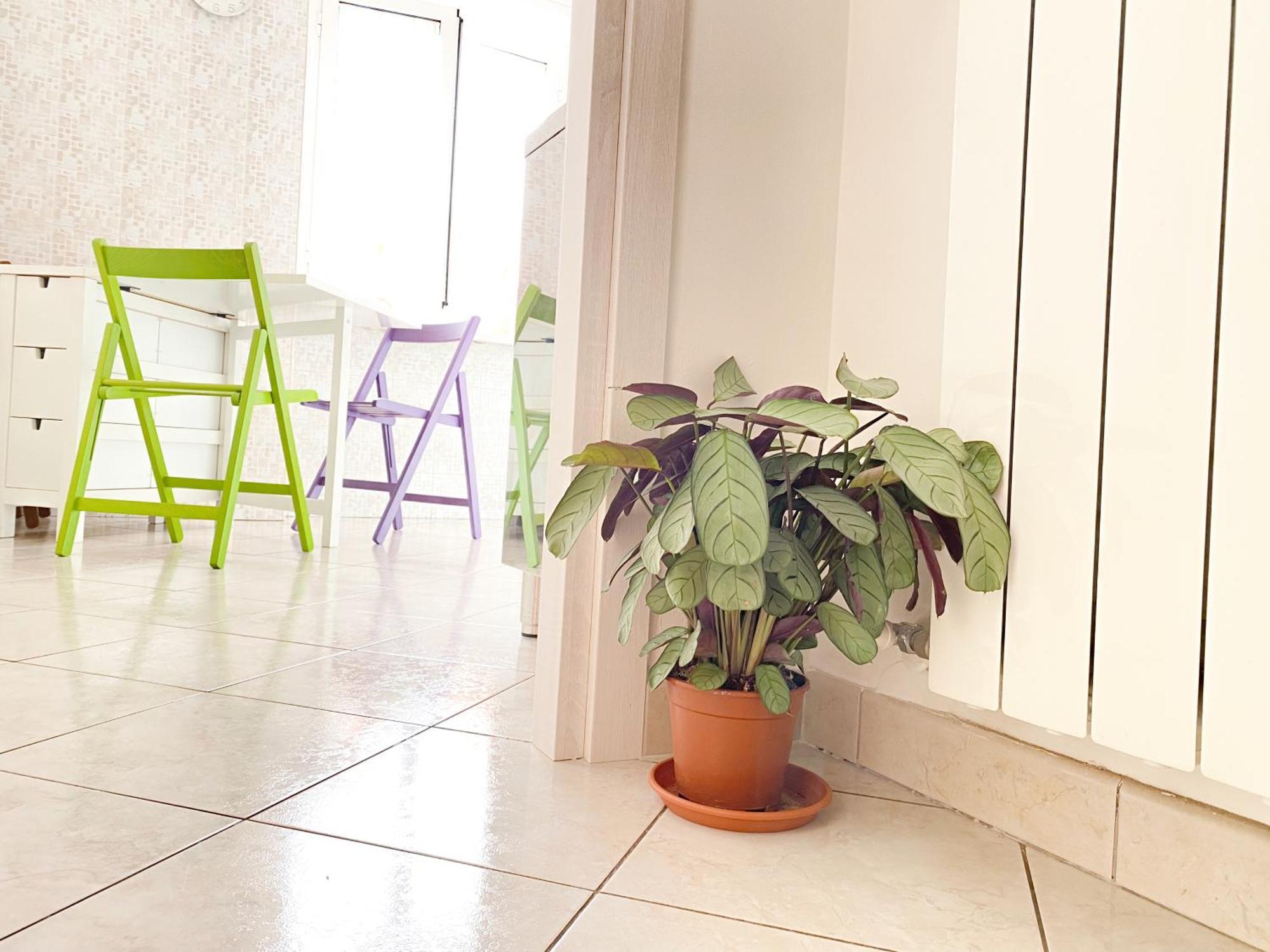 Ophele House Apartamento *